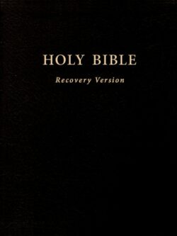 Holy Bible Recovery Version (Englisch; schwarz, Ledereinband)