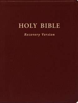 Holy Bible Recovery Version (Englisch; burgunderrot, Ledereinband)