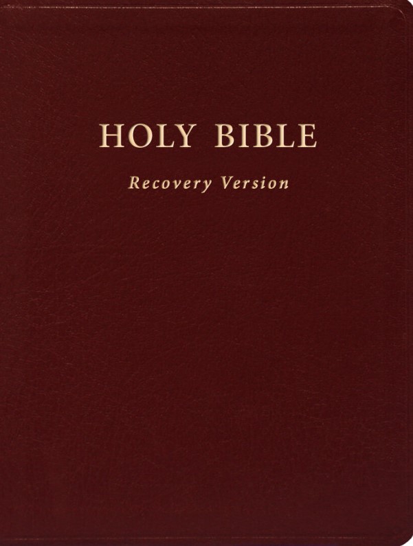 Holy Bible, RcV, Burgundy