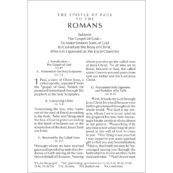 New Testament Recovery Version (Englisch; Taschengröße)