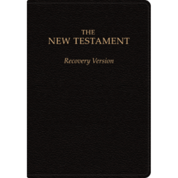 New Testament Recovery Version (English, Black, Bonded Leather, with footnote, Large)